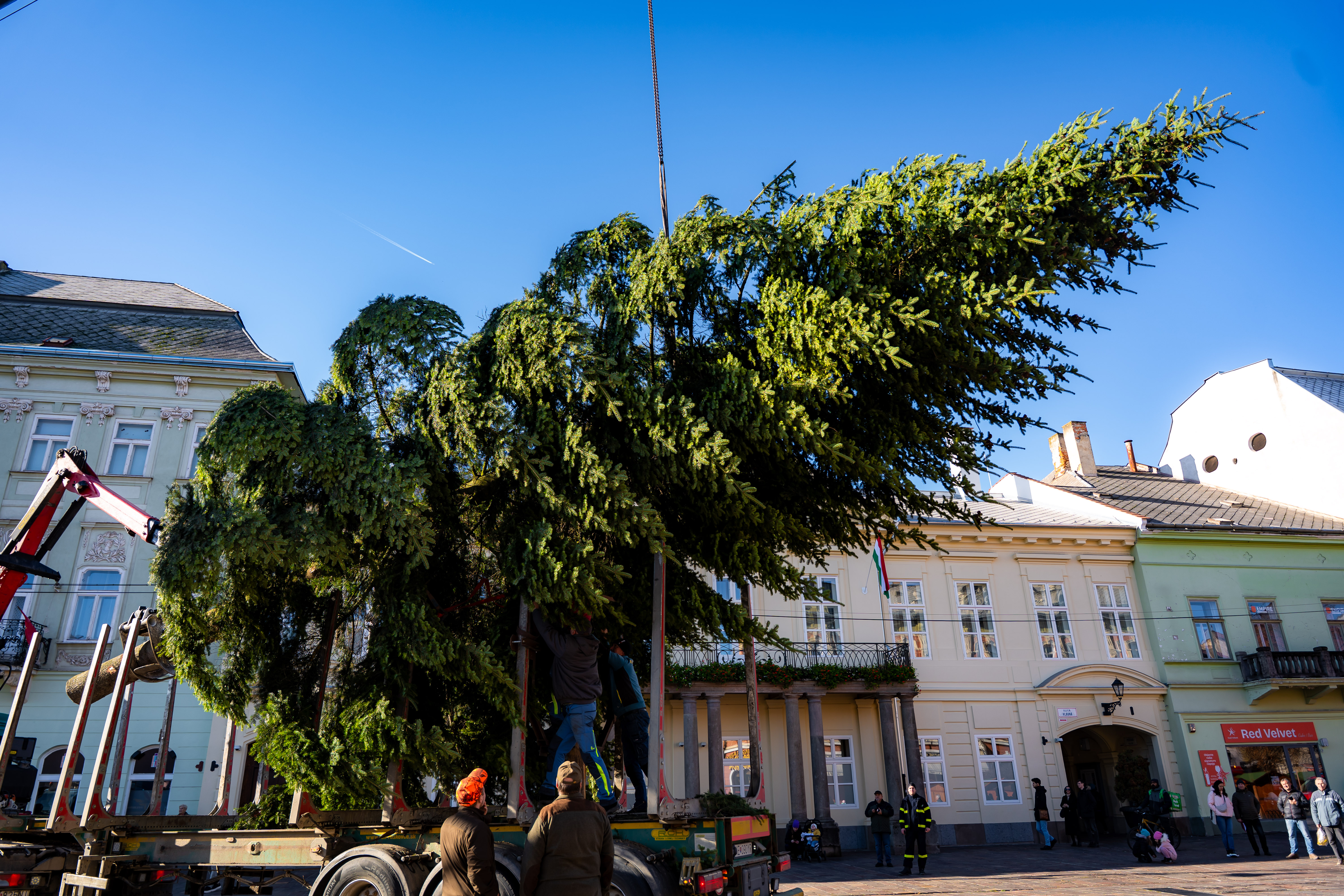 Umiestnovanie Vianocneho stromu-16